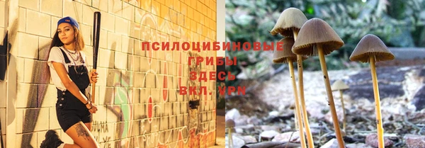 ALPHA PVP Алексин