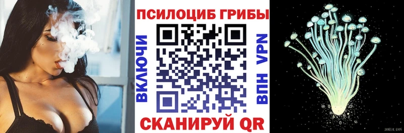 KRAKEN как войти  Циолковский  Галлюциногенные грибы прущие грибы 
